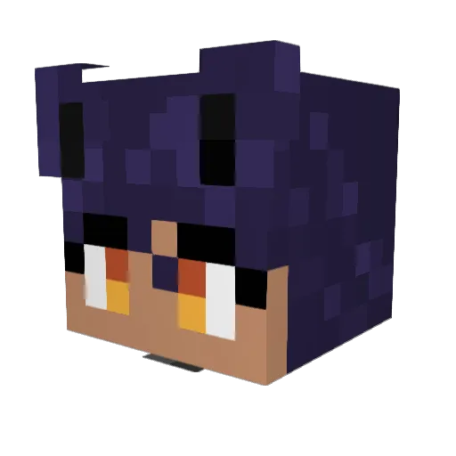 RoboBabyV69 Minecraft avatar head, 3D render