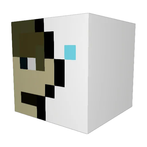 RoboCon_ Minecraft avatar head, 3D render