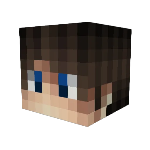 RoboDK7 Minecraft avatar head, 3D render