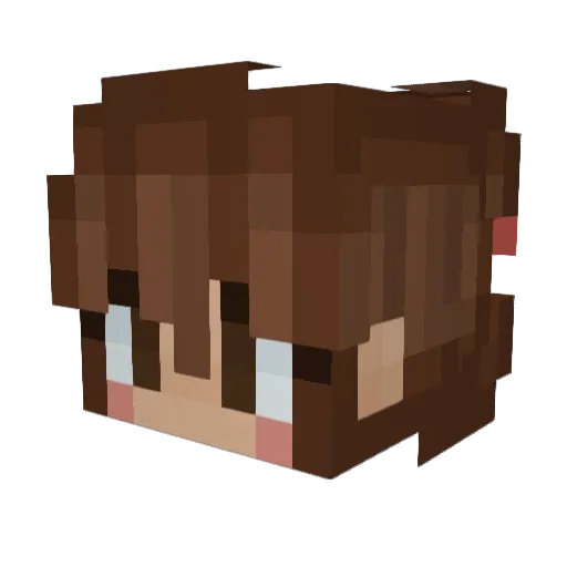 RoboDude14 Minecraft avatar head, 3D render