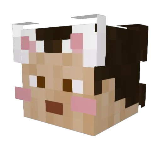 RoboGnome Minecraft avatar head, 3D render