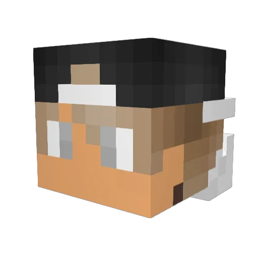 RoboMoof Minecraft avatar head, 3D render