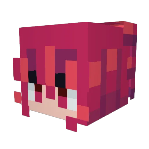 RoboNoob1001 Minecraft avatar head, 3D render