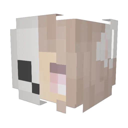 RoboPolarCorn Minecraft avatar head, 3D render