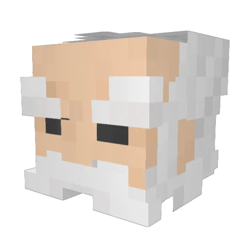 RoboRubix Minecraft avatar head, 3D render