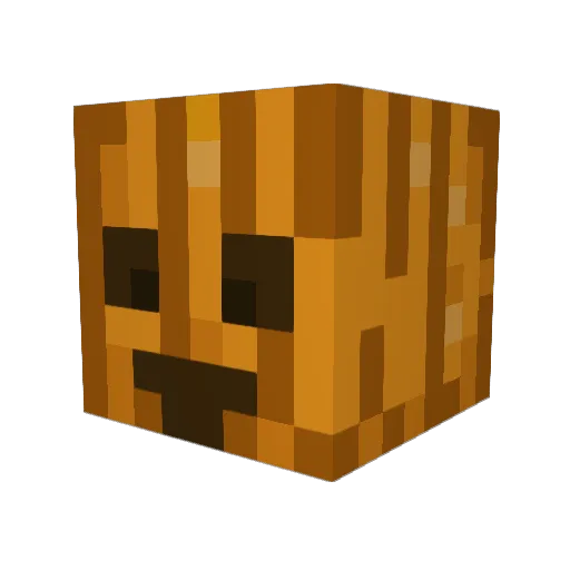 RoboSlayer55 Minecraft avatar head, 3D render