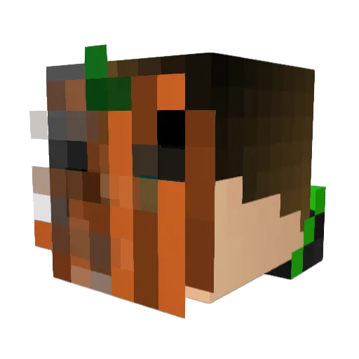 RoboTimoT Minecraft avatar head, 3D render