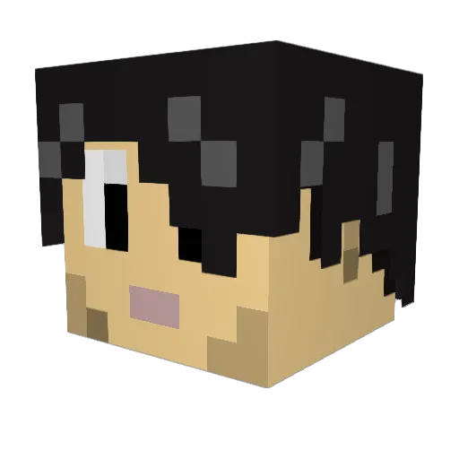 RoboWaffle Minecraft avatar head, 3D render