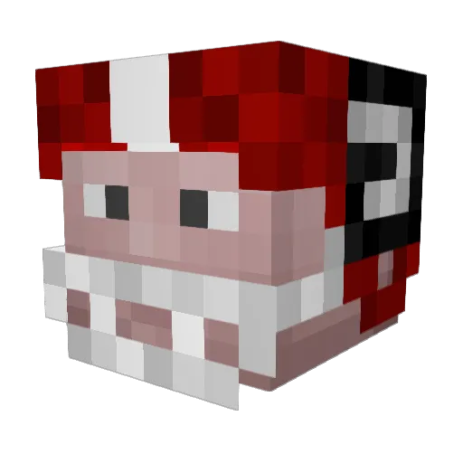 Robo_Dude359 Minecraft avatar head, 3D render