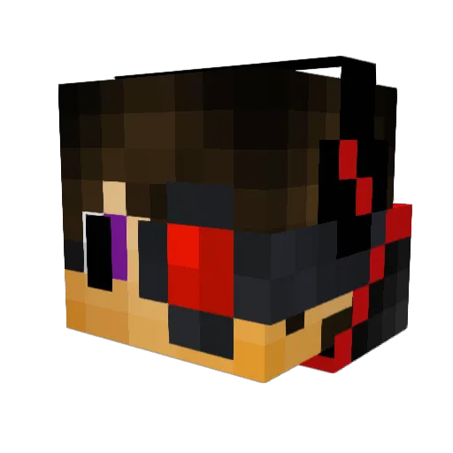 Robochu Minecraft avatar head, 3D render