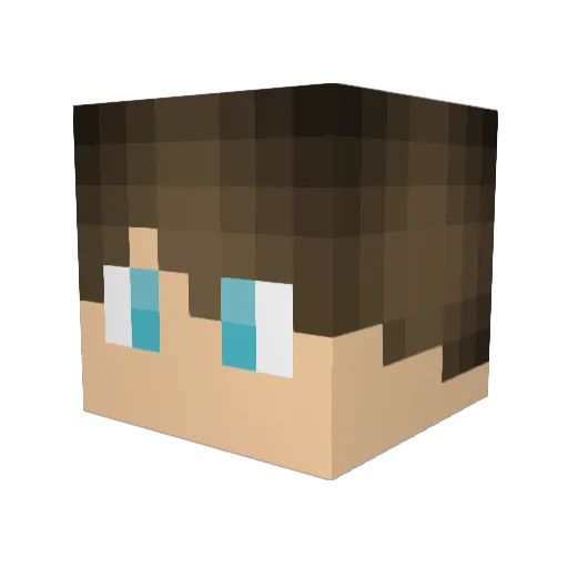 Robodog248 Minecraft avatar head, 3D render