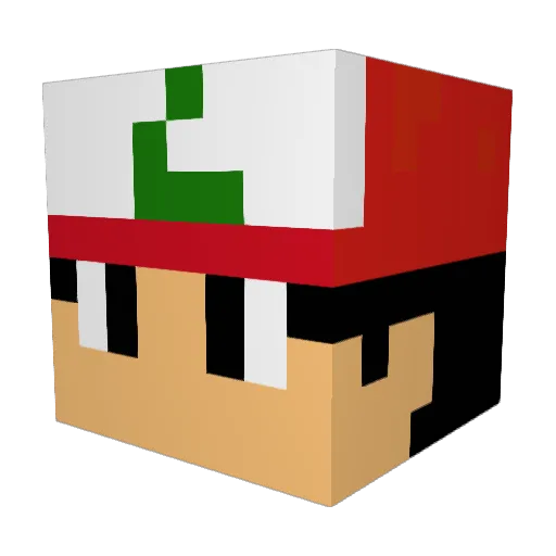 Roboist1 Minecraft avatar head, 3D render