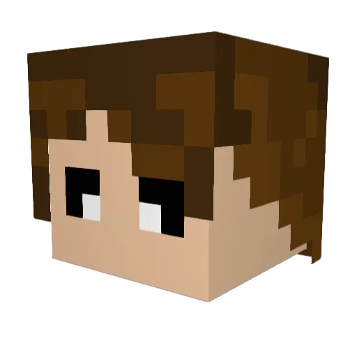 Roboos Minecraft avatar head, 3D render