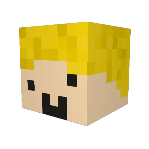 Robosk2000 Minecraft avatar head, 3D render