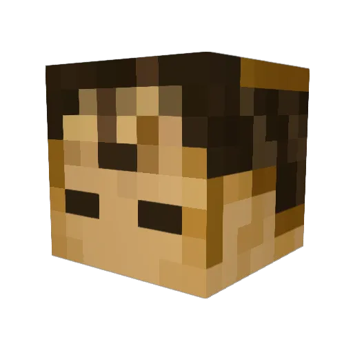 RobotBrotherSid Minecraft avatar head, 3D render