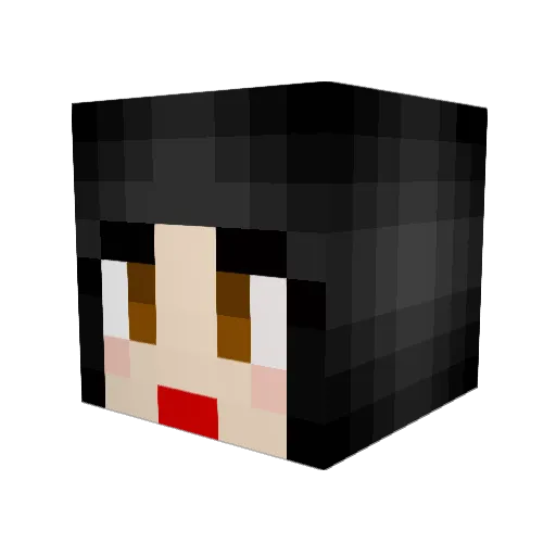 RobotFingers Minecraft avatar head, 3D render