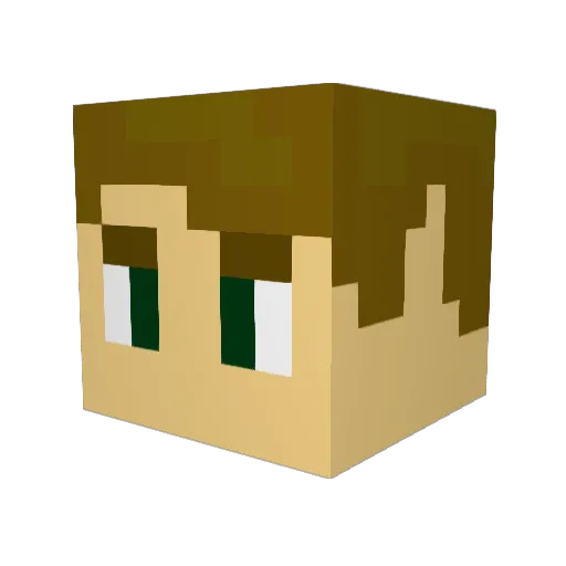 RobotTurtle111 Minecraft avatar head, 3D render