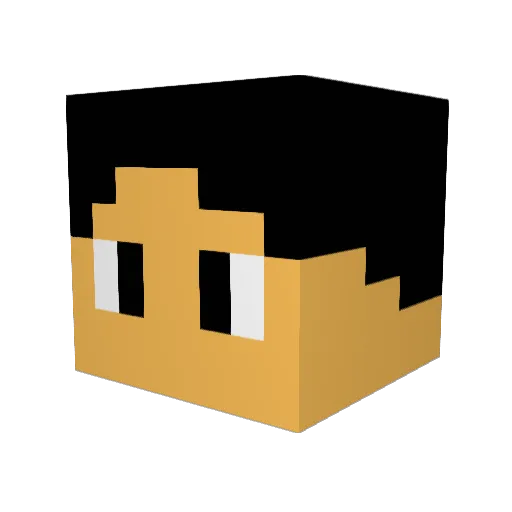 Roboter05 Minecraft avatar head, 3D render