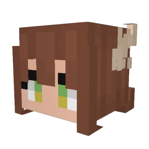 Robotgamer98 Minecraft avatar head, 3D render