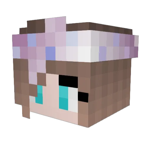 RoboticPlague12 Minecraft avatar head, 3D render