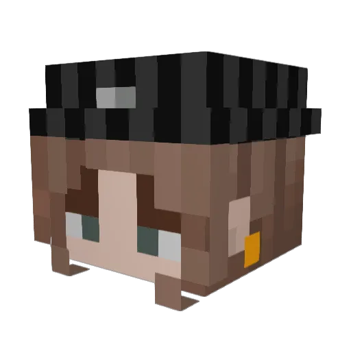 Roboticful Minecraft avatar head, 3D render