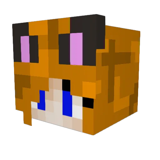 RobotinaVT Minecraft avatar head, 3D render