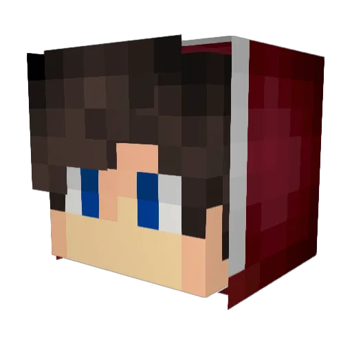 Robotman2017 Minecraft avatar head, 3D render