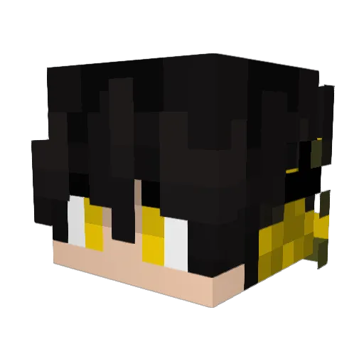 Robotpig321 Minecraft avatar head, 3D render