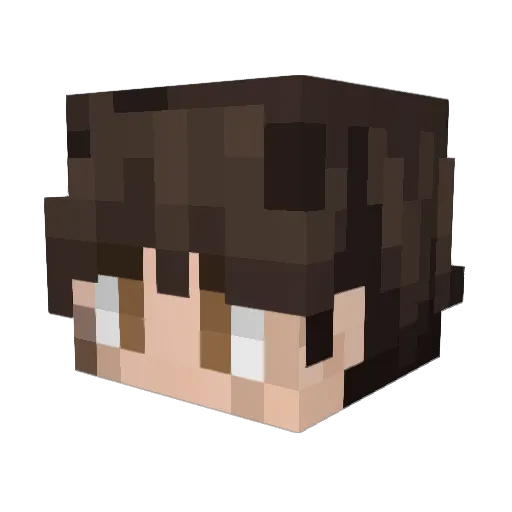 Robovik_1 Minecraft avatar head, 3D render