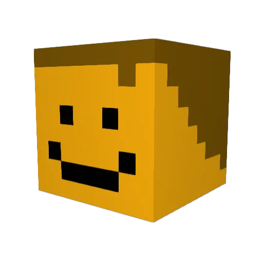 Robsenmeister Minecraft avatar head, 3D render