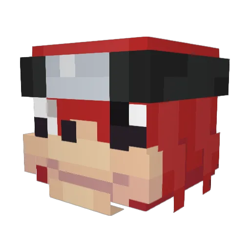 Robson1234 Minecraft avatar head, 3D render