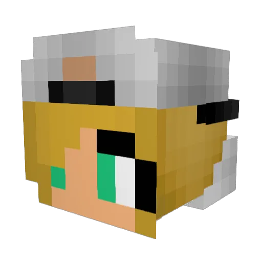 RobsonDewastaor Minecraft avatar head, 3D render