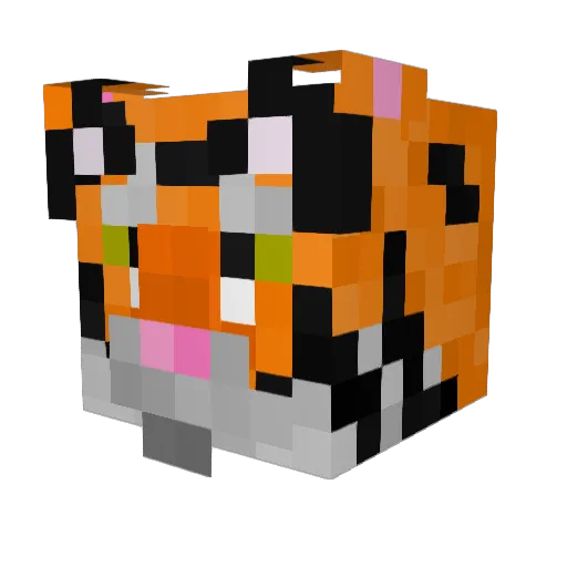 RobsonTigerPl Minecraft avatar head, 3D render