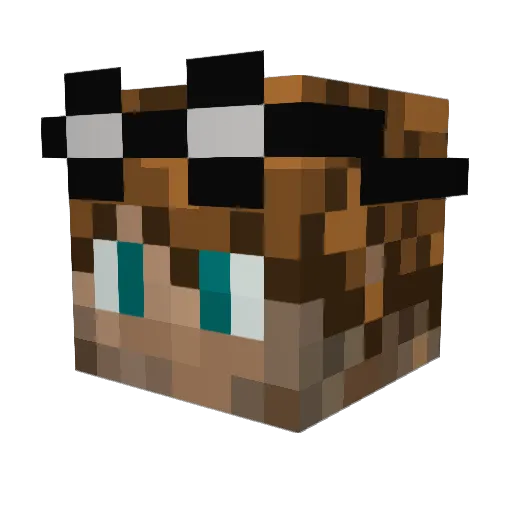 RobsonzSWDDBG Minecraft avatar head, 3D render