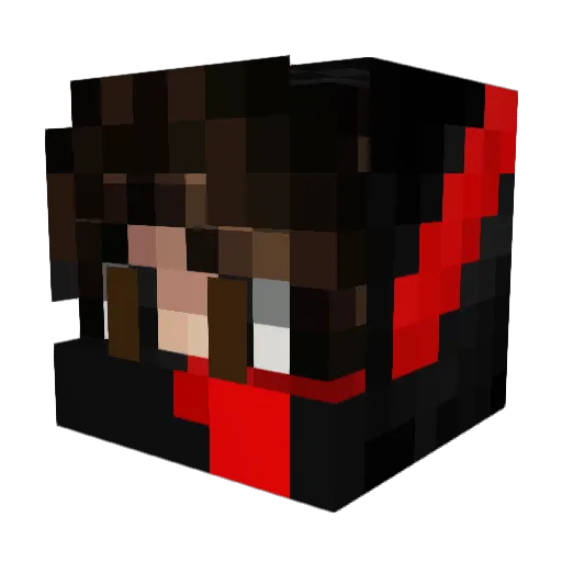Robster0908 Minecraft avatar head, 3D render