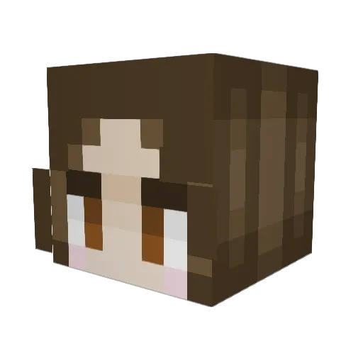 Robushu Minecraft avatar head, 3D render