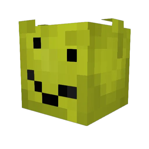 RobustLord Minecraft avatar head, 3D render