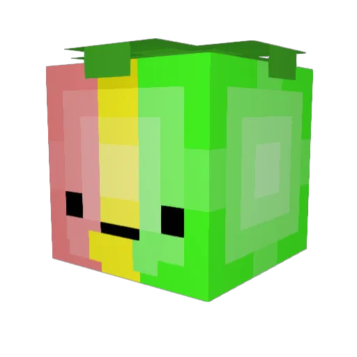 Robusthail91980 Minecraft avatar head, 3D render