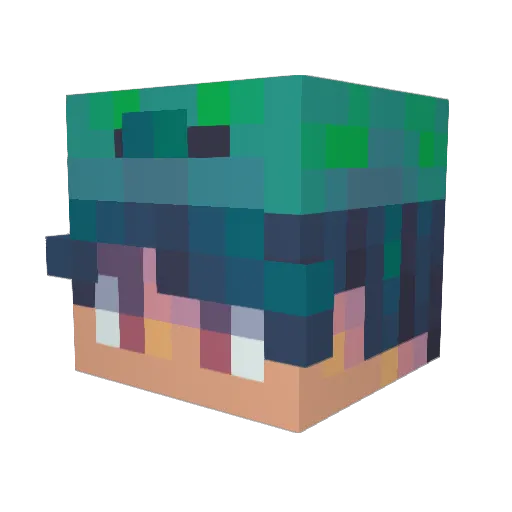 RobynDawn12 Minecraft avatar head, 3D render