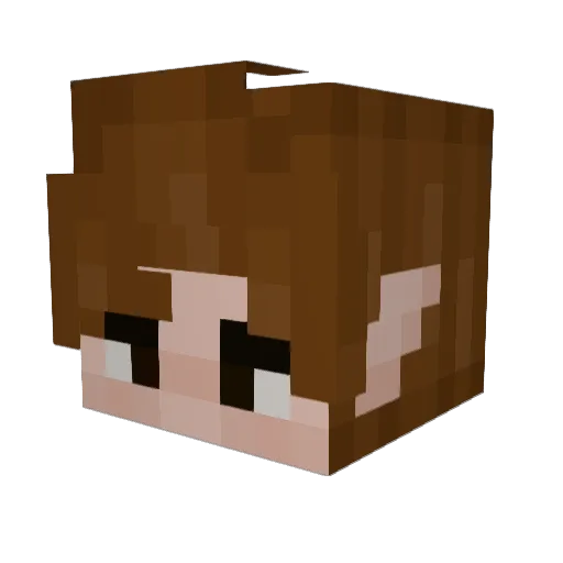 RobynHasBees Minecraft avatar head, 3D render