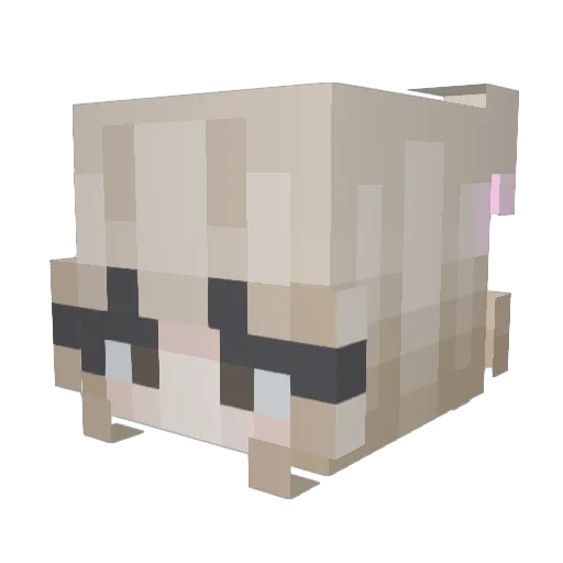 RobynStreaky Minecraft avatar head, 3D render
