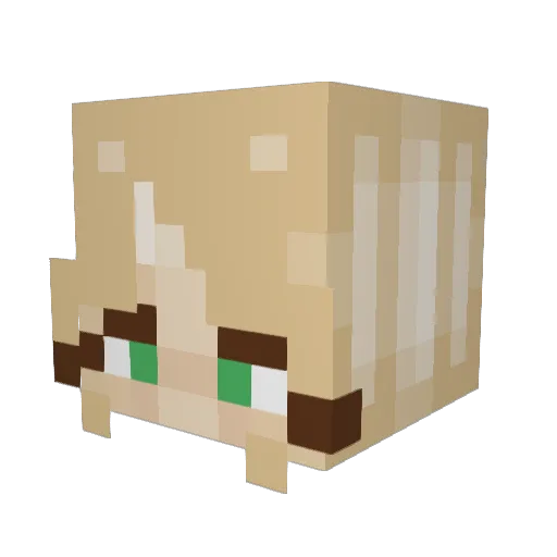 Robyn_bro Minecraft avatar head, 3D render