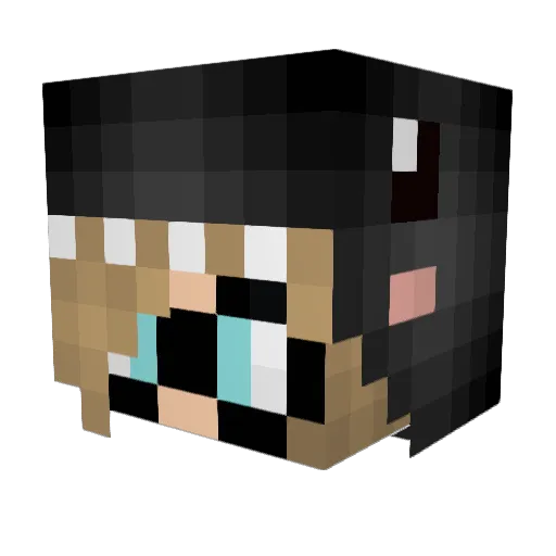 Robyn_igloo Minecraft avatar head, 3D render