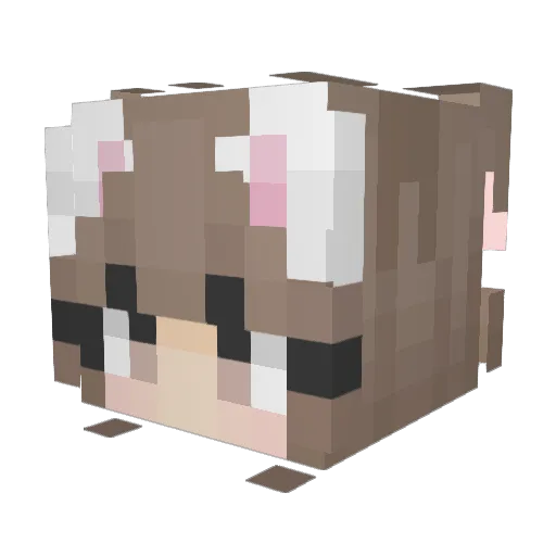 RobyntheEmpress Minecraft avatar head, 3D render