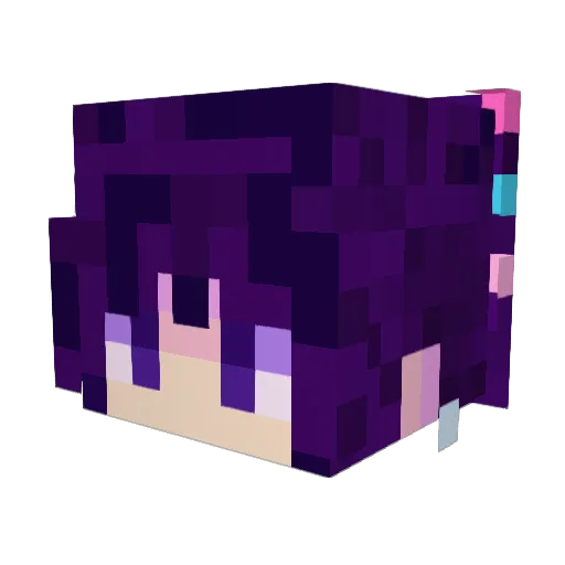 Robynthecrow Minecraft avatar head, 3D render