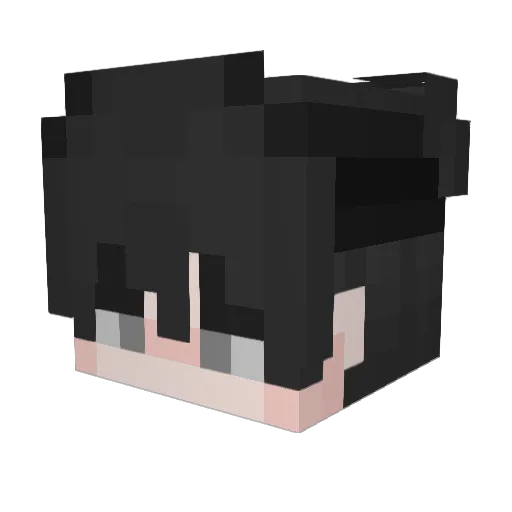 Robzni Minecraft avatar head, 3D render