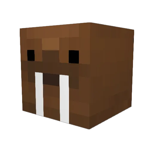 Rocaxy Minecraft avatar head, 3D render
