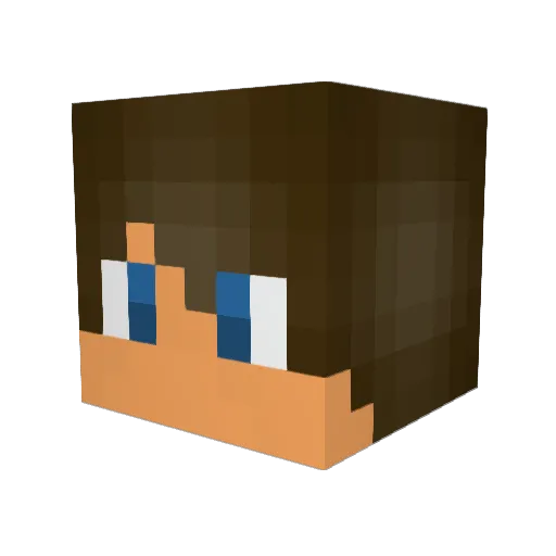 Roccat_pat Minecraft avatar head, 3D render