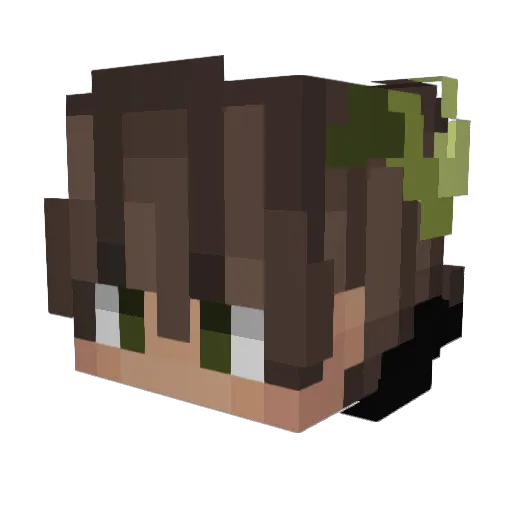 RoccoTheTaco_ Minecraft avatar head, 3D render