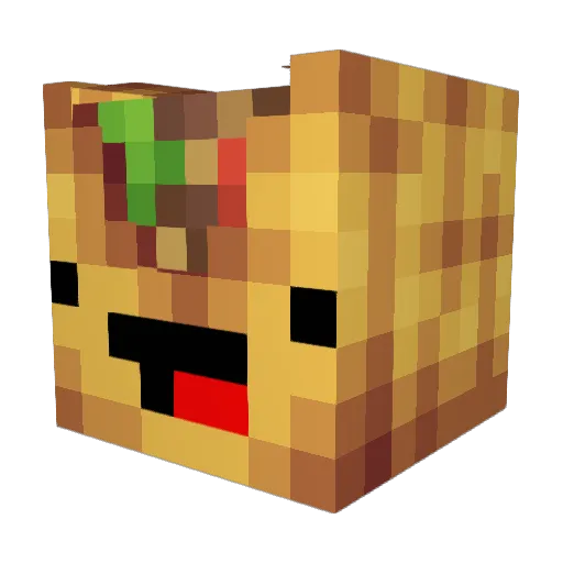Roccos_Tacos01 Minecraft avatar head, 3D render